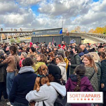 Paris Sausage Walk 2024 : la marche des teckels de retour dans la capitale - image00037