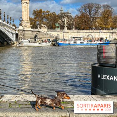 Paris Sausage Walk 2024 : la marche des teckels de retour dans la capitale - image00001