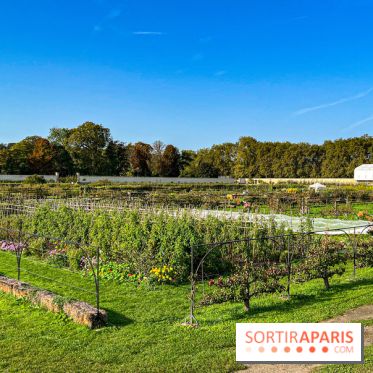 Les Saveurs du Potager du Roi à Versailles : marché de fruits & légumes, expositions et animations
