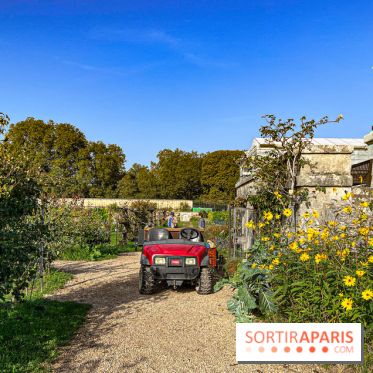 Les Saveurs du Potager du Roi à Versailles : marché de fruits & légumes, expositions et animations - image00020