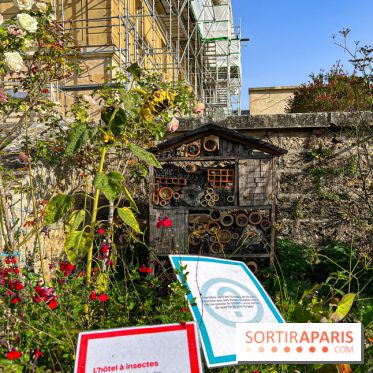 Les Saveurs du Potager du Roi à Versailles : marché de fruits & légumes, expositions et animations - image00027