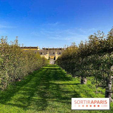 Les Saveurs du Potager du Roi à Versailles : marché de fruits & légumes, expositions et animations - image00030