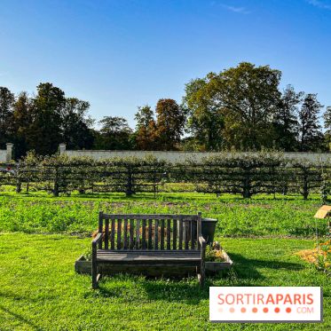 Les Saveurs du Potager du Roi à Versailles : marché de fruits & légumes, expositions et animations