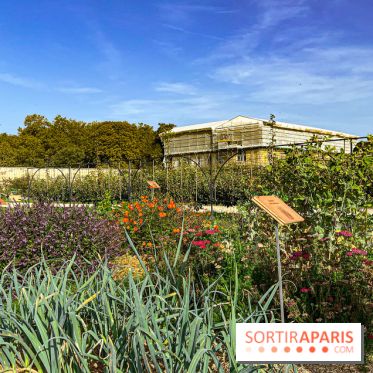 Les Saveurs du Potager du Roi à Versailles : marché de fruits & légumes, expositions et animations - image00034