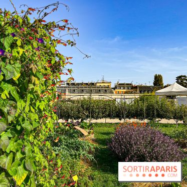 Les Saveurs du Potager du Roi à Versailles : marché de fruits & légumes, expositions et animations