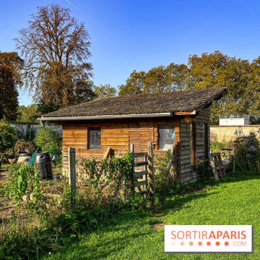 Les Saveurs du Potager du Roi à Versailles : marché de fruits & légumes, expositions et animations - image00041