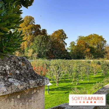 Les Saveurs du Potager du Roi à Versailles : marché de fruits & légumes, expositions et animations