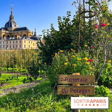 Les Saveurs du Potager du Roi à Versailles : marché de fruits & légumes, expositions et animations
