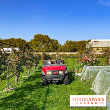 Les Saveurs du Potager du Roi à Versailles : marché de fruits & légumes, expositions et animations - image00060