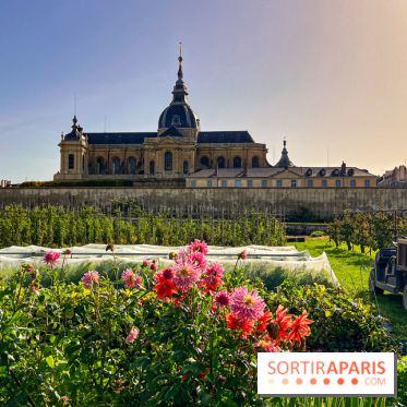 Les Saveurs du Potager du Roi à Versailles : marché de fruits & légumes, expositions et animations