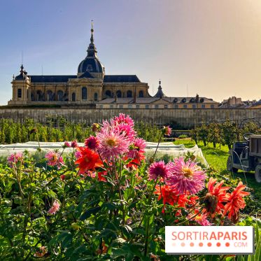 Les Saveurs du Potager du Roi à Versailles : marché de fruits & légumes, expositions et animations - image00066