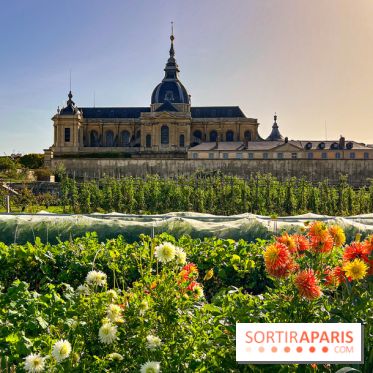 Les Saveurs du Potager du Roi à Versailles : marché de fruits & légumes, expositions et animations - image00068