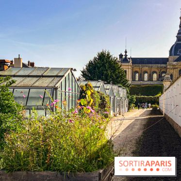 Les Saveurs du Potager du Roi à Versailles : marché de fruits & légumes, expositions et animations