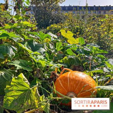 Les Saveurs du Potager du Roi à Versailles : marché de fruits & légumes, expositions et animations