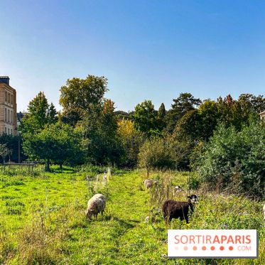 Les Saveurs du Potager du Roi à Versailles : marché de fruits & légumes, expositions et animations