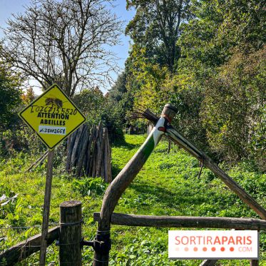 Les Saveurs du Potager du Roi à Versailles : marché de fruits & légumes, expositions et animations - image00084