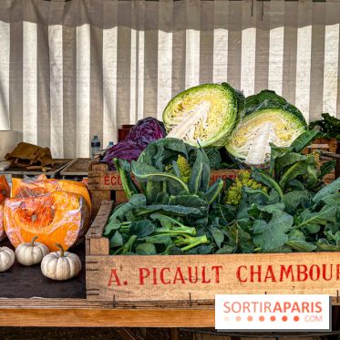 Les Saveurs du Potager du Roi à Versailles : marché de fruits & légumes, expositions et animations