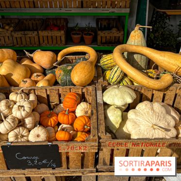 Les Saveurs du Potager du Roi à Versailles : marché de fruits & légumes, expositions et animations