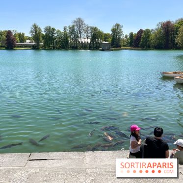 Etang aux carpes et barques - nos photos