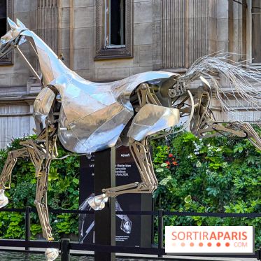 ZEUS, cheval métallique de la cérémonie d'ouverture des JO de Paris 2024 à l'Hôtel de Ville - image00023