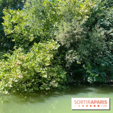 Marin d'eau douce Boulogne - nos photos