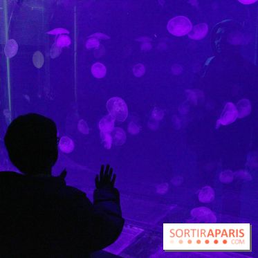 L'Arche des petites bêtes au Zoo de Thoiry