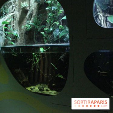 L'Arche des petites bêtes au Zoo de Thoiry