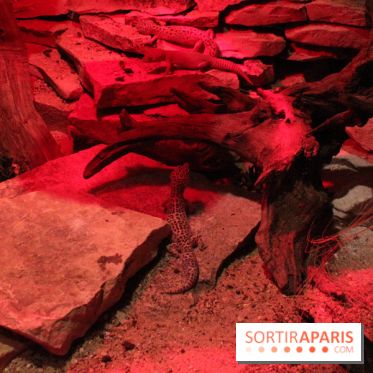 L'Arche des petites bêtes au Zoo de Thoiry