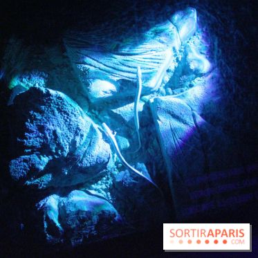 L'Arche des petites bêtes au Zoo de Thoiry