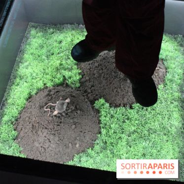 L'Arche des petites bêtes au Zoo de Thoiry