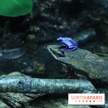 L'Arche des petites bêtes au Zoo de Thoiry