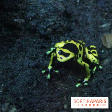 L'Arche des petites bêtes au Zoo de Thoiry