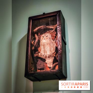 Le surréalisme : l'exposition exceptionnelle qui célèbre les 100 ans du mouvement au Centre Pompidou - IMG20240903164212