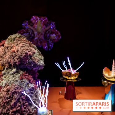 “Forêts astrales” : nos photos de l'exposition gratuite à voir à l'Institut suédois à Paris