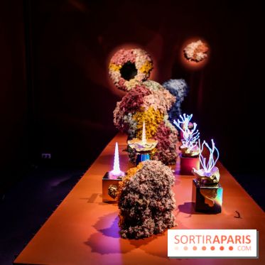 “Forêts astrales” : nos photos de l'exposition gratuite à voir à l'Institut suédois à Paris