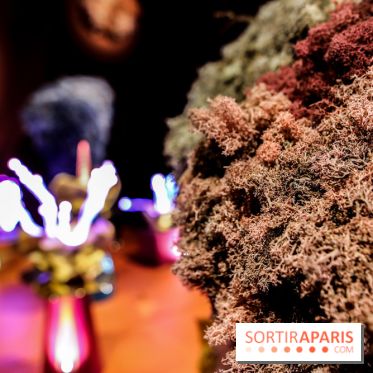 “Forêts astrales” : nos photos de l'exposition gratuite à voir à l'Institut suédois à Paris