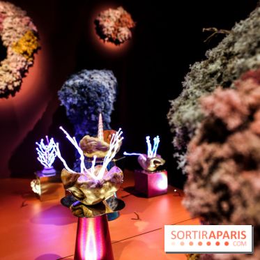 “Forêts astrales” : nos photos de l'exposition gratuite à voir à l'Institut suédois à Paris - IMG 5972