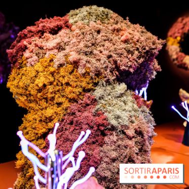 “Forêts astrales” : nos photos de l'exposition gratuite à voir à l'Institut suédois à Paris - IMG 5982