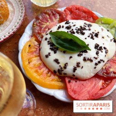 Adela - Tomates, espuma de scamorza