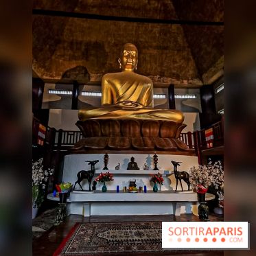 Asian Street Festival - les photos