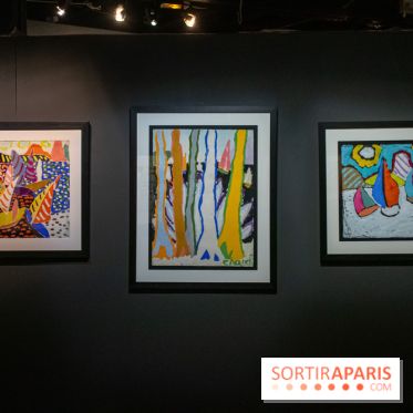 Exposition Malcolm de Chazal à la Halle Saint-Pierre - DSC 0995