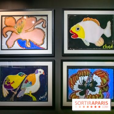 Exposition Malcolm de Chazal à la Halle Saint-Pierre - DSC 1002