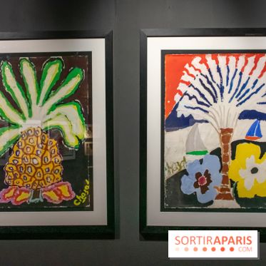 Exposition Malcolm de Chazal à la Halle Saint-Pierre - DSC 1005