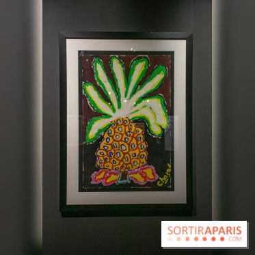 Exposition Malcolm de Chazal à la Halle Saint-Pierre - DSC 1006