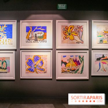 Exposition Malcolm de Chazal à la Halle Saint-Pierre - DSC 1007