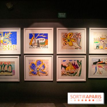 Exposition Malcolm de Chazal à la Halle Saint-Pierre - DSC 1008