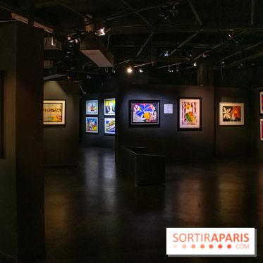 Exposition Malcolm de Chazal à la Halle Saint-Pierre - DSC 1017