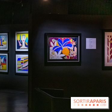 Exposition Malcolm de Chazal à la Halle Saint-Pierre - DSC 1018