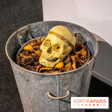 Exposition L'Electromécanomaniaque de Gilbert Peyre à la Halle Saint Pierre - DSC 1027