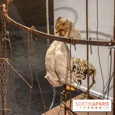 Exposition L'Electromécanomaniaque de Gilbert Peyre à la Halle Saint Pierre - DSC 1033